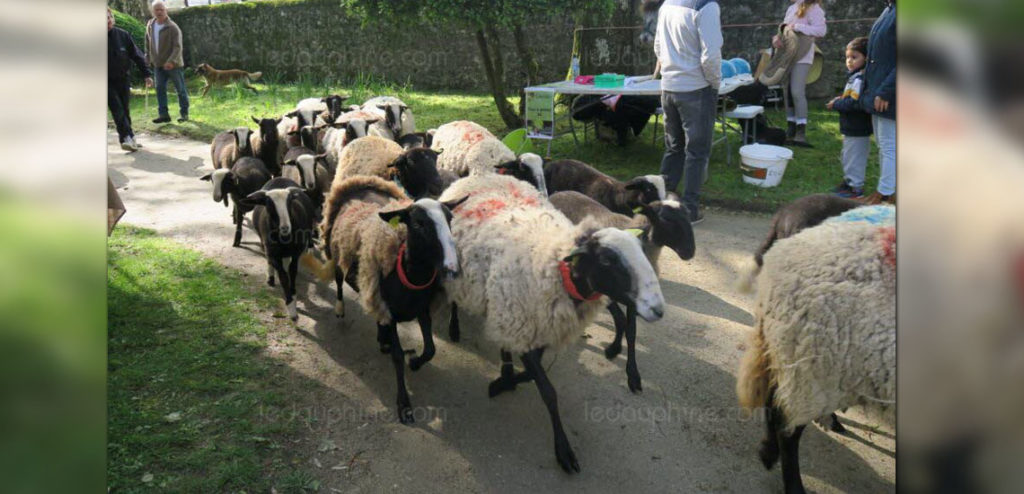 Fête de la Nature