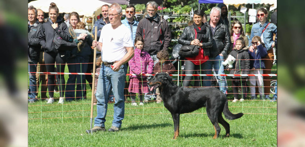 Fête de la Nature- Beauceron