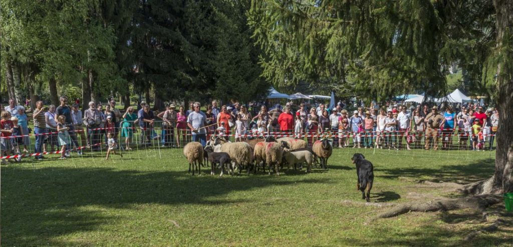 Fête de la Nature